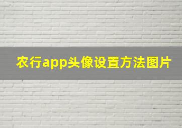 农行app头像设置方法图片