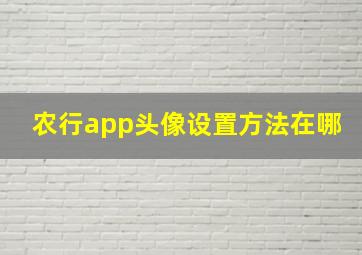 农行app头像设置方法在哪