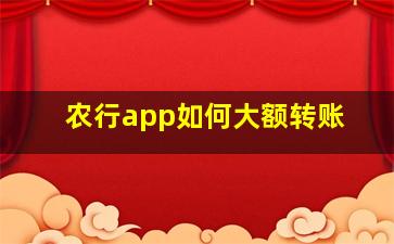 农行app如何大额转账