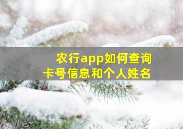 农行app如何查询卡号信息和个人姓名