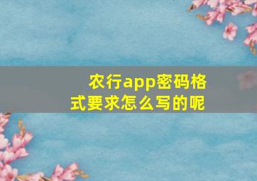 农行app密码格式要求怎么写的呢