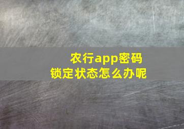 农行app密码锁定状态怎么办呢