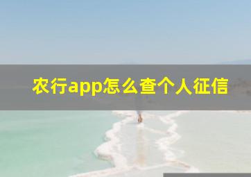 农行app怎么查个人征信