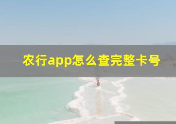 农行app怎么查完整卡号