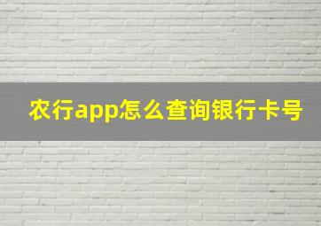 农行app怎么查询银行卡号