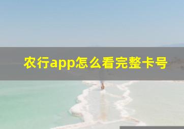 农行app怎么看完整卡号