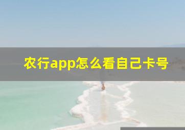 农行app怎么看自己卡号