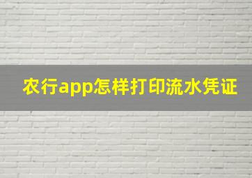 农行app怎样打印流水凭证