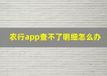 农行app查不了明细怎么办