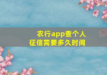 农行app查个人征信需要多久时间