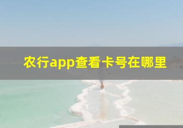 农行app查看卡号在哪里