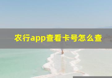 农行app查看卡号怎么查