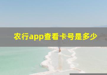 农行app查看卡号是多少