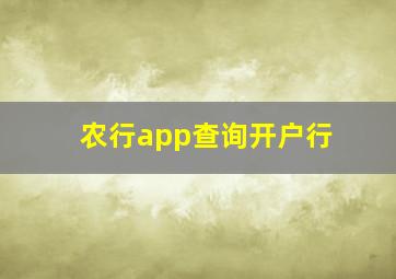 农行app查询开户行