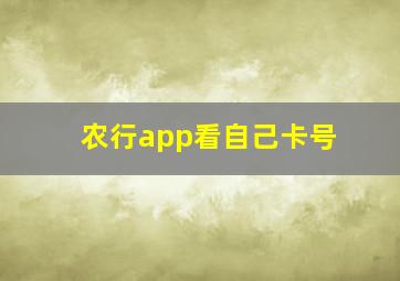 农行app看自己卡号