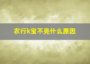 农行k宝不亮什么原因