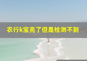 农行k宝亮了但是检测不到