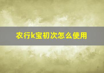 农行k宝初次怎么使用