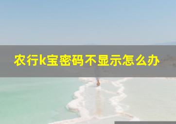 农行k宝密码不显示怎么办