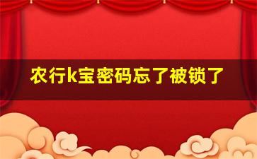 农行k宝密码忘了被锁了