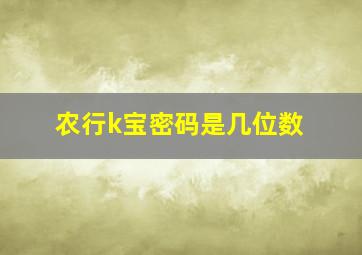 农行k宝密码是几位数