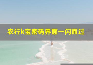 农行k宝密码界面一闪而过