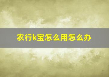 农行k宝怎么用怎么办