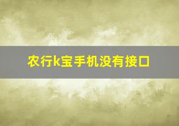 农行k宝手机没有接口