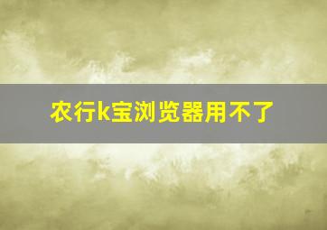 农行k宝浏览器用不了