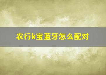 农行k宝蓝牙怎么配对