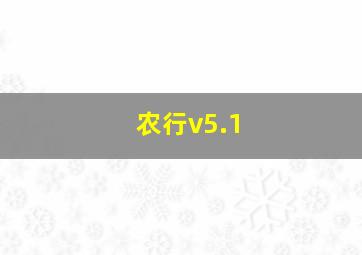 农行v5.1