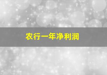 农行一年净利润