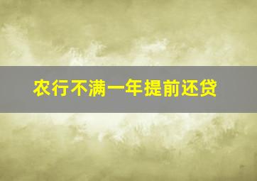 农行不满一年提前还贷