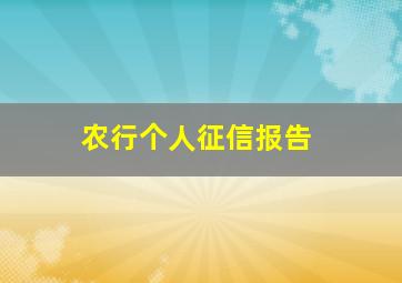 农行个人征信报告