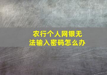 农行个人网银无法输入密码怎么办