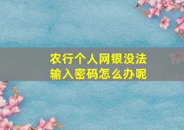 农行个人网银没法输入密码怎么办呢