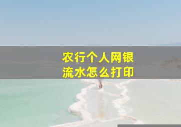 农行个人网银流水怎么打印