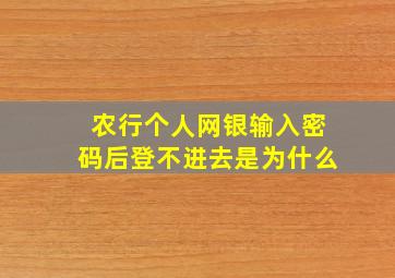 农行个人网银输入密码后登不进去是为什么