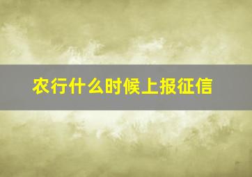 农行什么时候上报征信