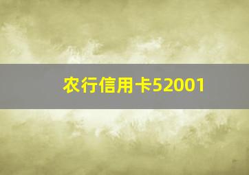 农行信用卡52001