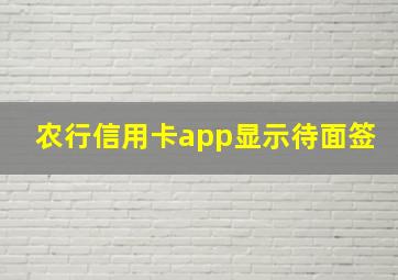 农行信用卡app显示待面签