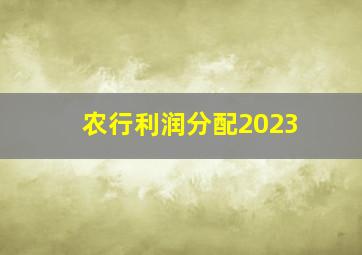 农行利润分配2023