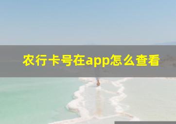 农行卡号在app怎么查看