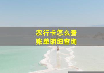 农行卡怎么查账单明细查询