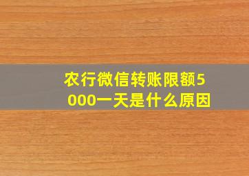 农行微信转账限额5000一天是什么原因