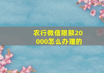 农行微信限额20000怎么办理的