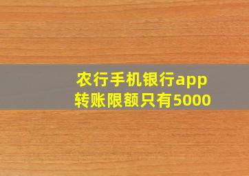 农行手机银行app转账限额只有5000