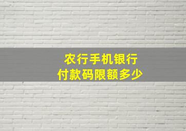 农行手机银行付款码限额多少