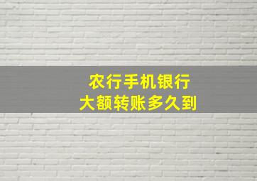 农行手机银行大额转账多久到