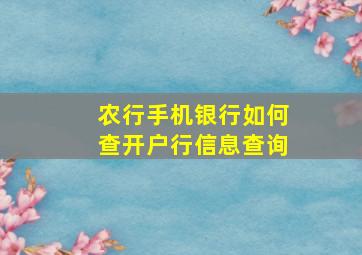 农行手机银行如何查开户行信息查询